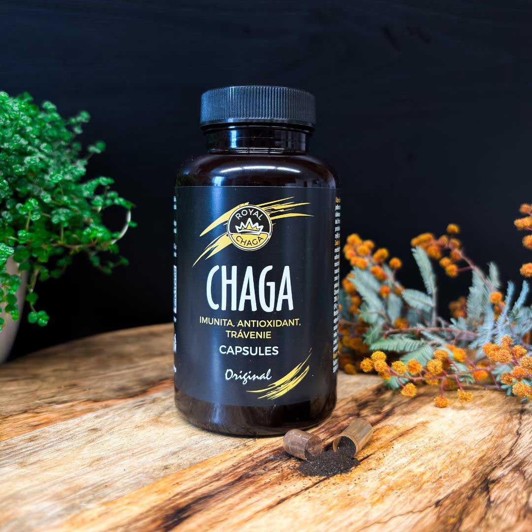 Chaga-capsules-1080x1080-01